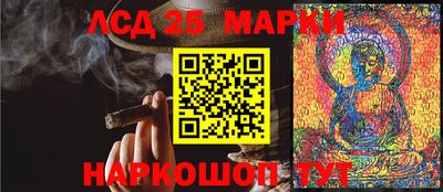 гидропоника Будённовск